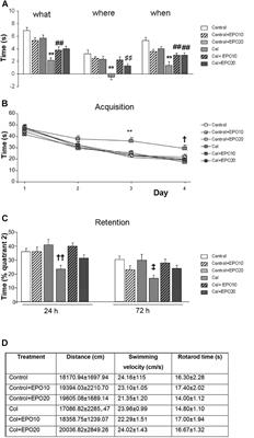 Erythropoietin Improves Atrophy, Bleeding and Cognition in the Newborn Intraventricular Hemorrhage